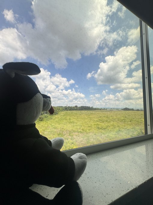 A plush cow toy sits on a windowsill gazing out over a vast, cloudy sky and green field—perhaps scouting where the elusive $DOG is hiding on this remote horizon.