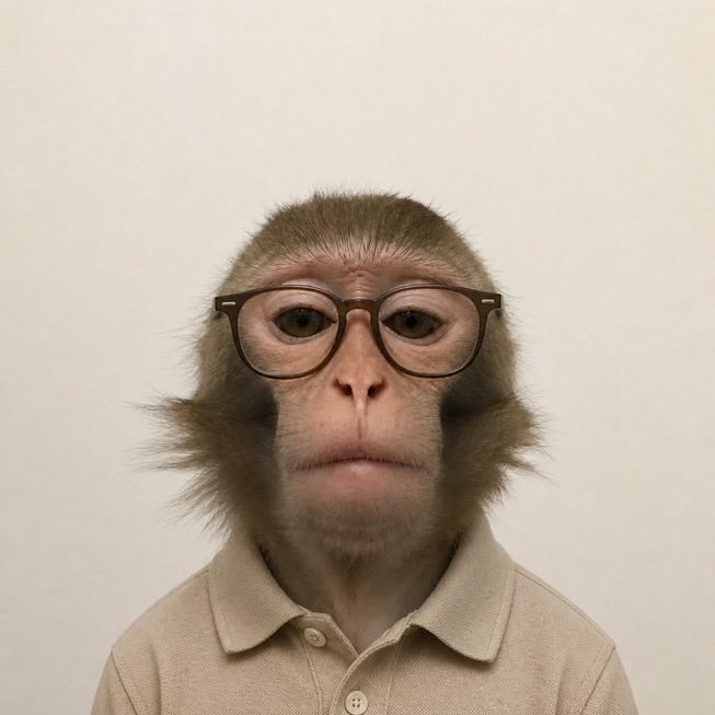 A humorous portrait of a monkey wearing brown-rimmed glasses and a beige polo shirt, staring directly at the camera against a plain off-white backdrop.
