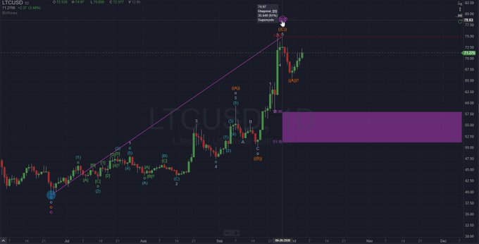 A financial chart for LTCUSD (Litecoin/USD) shows price action with wave count annotations and a highlighted resistance zone.