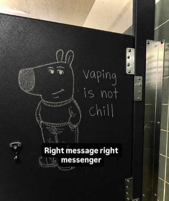 A chalk drawing on a bathroom stall door depicts a dog saying 'vaping is not chill', with a caption reading 'Right message right messenger'.