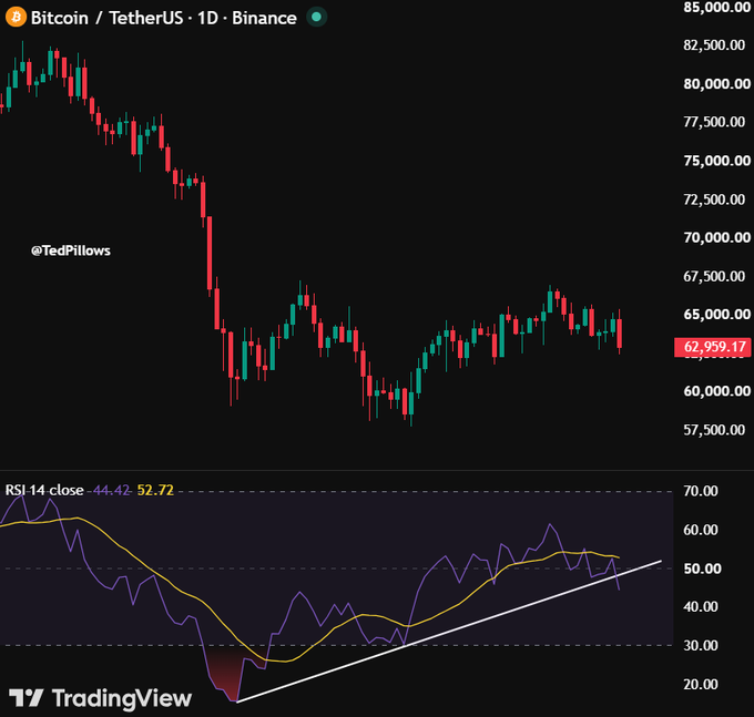 This image displays a daily chart of Bitcoin (BTC) against TetherUS, showing a declining price trend and a broken RSI uptrend, supporting the claim of potential rally reversal.