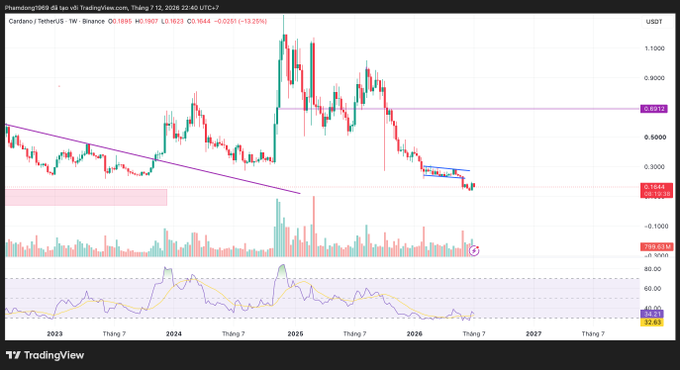 A TradingView candlestick chart displays the Cardano/TetherUS (ADAUSDT) weekly price on Binance, with values near 0.1688 USDT and an RSI around 32.85.