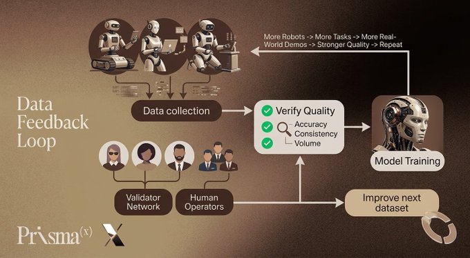 A diagram titled 'Data Feedback Loop' from Prisma X showing robots collecting data, which is verified by a Validator Network and Human Operators before Model Training and improving the next dataset.
