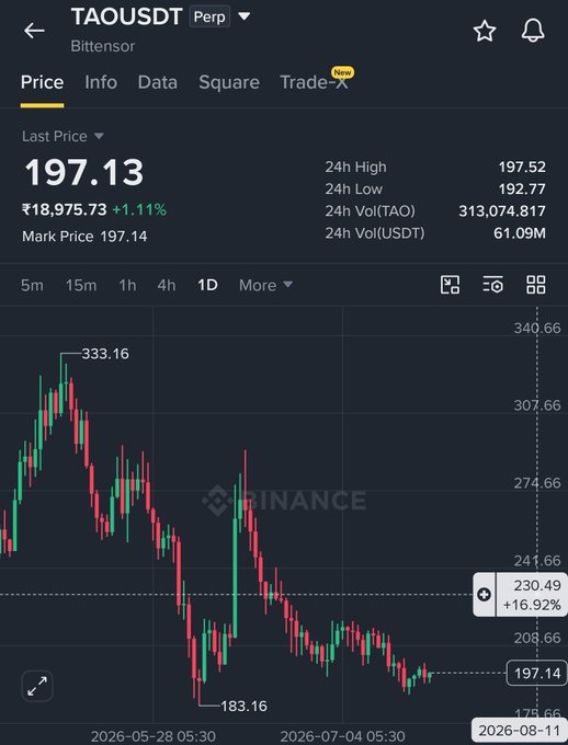 A Binance perpetual futures chart for TAOUSDT showing a current price of ₹18,975.73 (+1.11%) with a 24h high of 197.52 and low of 192.77, illustrating TAO's downtrend from a peak of 333.16 to a low of 183.16, which supports the trader's decision to long at the current level (197.14) targeting 220-240.
