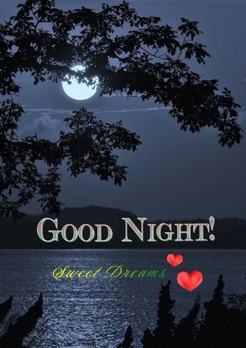A serene nighttime scene features a full moon glowing behind silhouetted tree branches over a calm lake, with the text "GOOD NIGHT! Sweet Dreams" accompanied by two red hearts, matching the post's peaceful message wishing a creator sweet dreams tied to the $RIVER ticker.