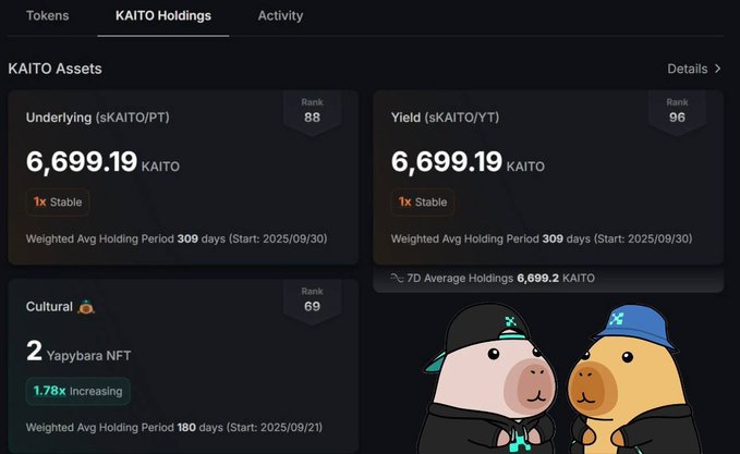 A KAITO Holdings dashboard displaying KAITO Assets with Underlying (sKAITO/PT) and Yield (sKAITO/YT) both showing 6,699.19 KAITO at Rank 88 and 96, plus 2 Yapybara NFTs in Cultural with a 1.78x increasing multiplier.