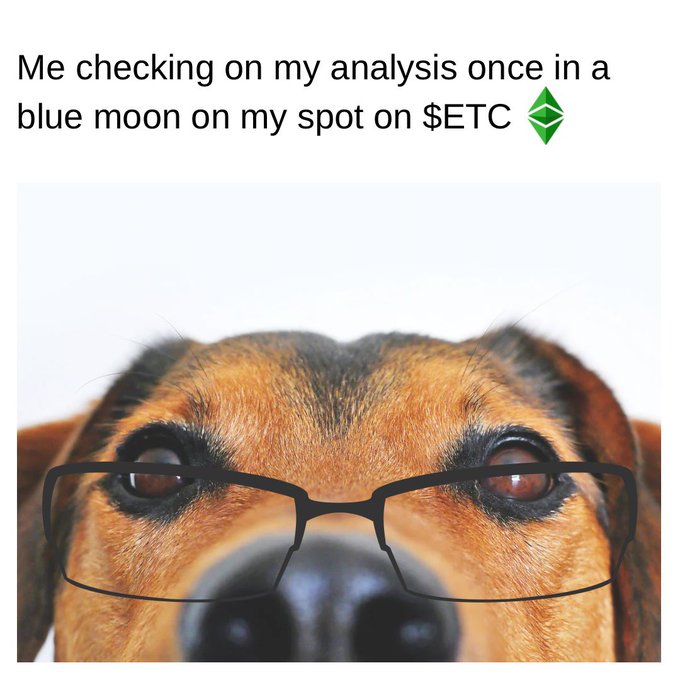 The image shows a close-up of a dog wearing black-framed glasses with an intense, focused stare, paired with the text "Me checking on my analysis once in a blue moon on my spot on $ETC." The dog's serious, scrutinizing expression humorously captures the rare-but-focused attention to their $ETC (Ethereum Classic) position, poking fun at the irony of only checking analysis "once in a blue moon" while still maintaining a vigilant watch as the Fifthening approaches.