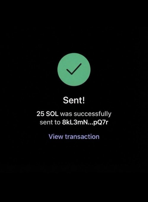 A mobile screenshot displays a confirmation message with a green checkmark, reading 'Sent! 25 SOL was successfully sent to 8kL3mN...pQ7r' with a 'View transaction' link.
