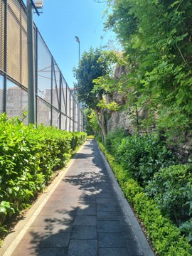 A narrow paved path lined with green hedges and a chain-link fence on the left, shaded by trees on a sunny day with a clear blue sky.