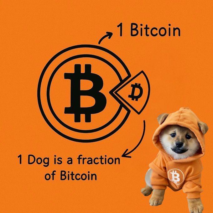 The image features a small Shiba Inu dog dressed in an orange hoodie with a Bitcoin symbol on it, sitting next to the text "1 Bitcoin" that explains the concept behind Bitcoins. The dog appears to be wearing a hat or a hoodie.