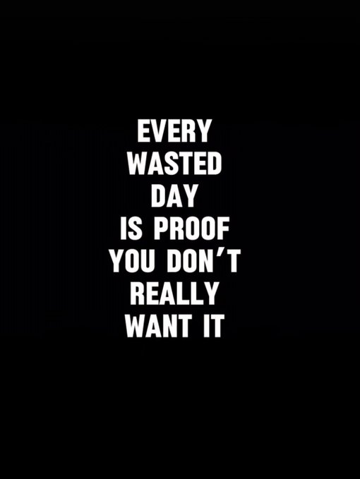 A black screen displays the motivational text: "EVERY WASTED DAY IS PROOF YOU DON'T REALLY WANT IT" in bold white letters.