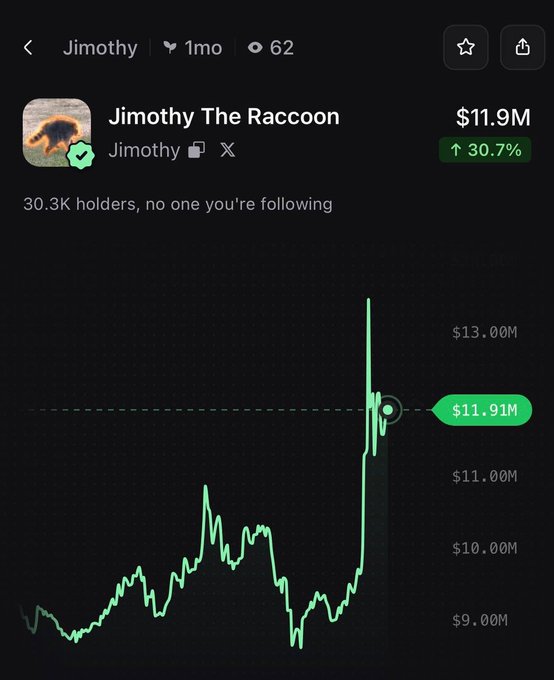 A price chart for "Jimothy The Raccoon" ($Jimothy) token shows it climbing to $11.91M market cap with a 30.7% gain, matching the post's claim of a 31% rally. The graph displays a notable upward spike from around $9M to nearly $13M, with 30.3K holders and 62 views noted at the top.
