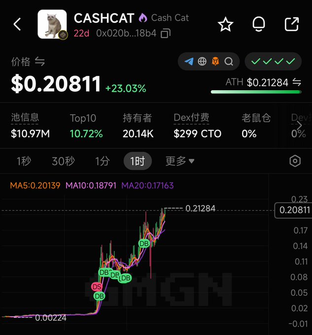 The image shows a cryptocurrency price chart for $CASHCAT (Cash Cat) on what appears to be the GMGN platform, displaying a price of $0.20811 with a +23.03% gain and an all-time high (ATH) of $0.21284, alongside a market cap of $10.97M. This visually supports the post's claim that $CASHCAT has reached a ~$200M valuation milestone as Robinhood's leading memecoin ("龙一" meaning top performer), with the chart showing its strong upward price momentum over the 1-hour timeframe.