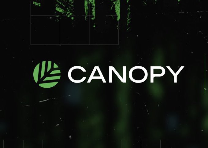 A logo for 'CANOPY' is displayed in white text next to a green circular icon with a leaf design, set against a dark green background with grid lines.