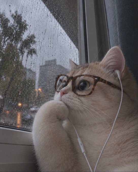 A close-up photograph of an orange and white cat wearing tortoiseshell glasses and white wired earphones, gazing out of a rain-streaked window.