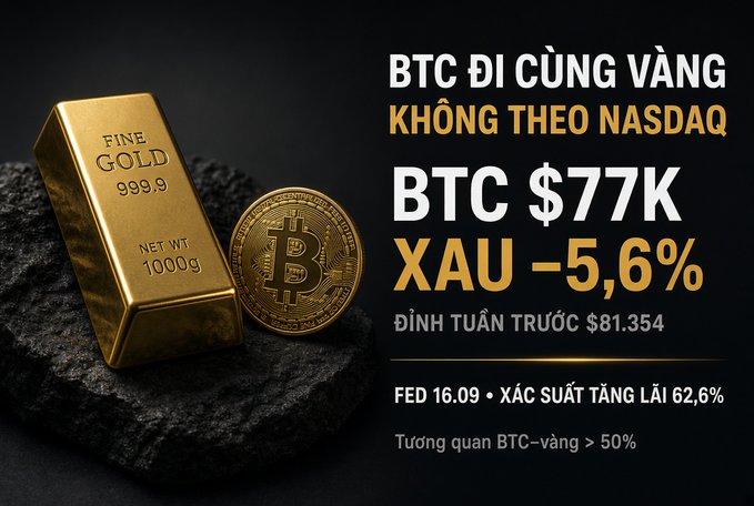 A Vietnamese financial graphic showing a gold bar and Bitcoin coin with text: 'BTC ĐI CÙNG VÀNG KHÔNG THEO NASDAQ', 'BTC $77K', 'XAU -5,6%', 'ĐỈNH TUẦN TRƯỚC $81.354', 'FED 16.09 • XÁC SUẤT TĂNG LÃI 62,6%'.