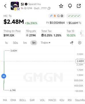A GMGN cryptocurrency page showing the token 'SpaceX Inu' with a market cap of $2.48M, up 36.31%, with a 1H price chart displayed.