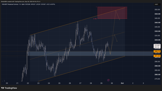 A TradingView 1-hour chart of TAOUSDT Perpetual Contract shows price at 313.87 (+0.21%) with a bullish ascending channel pattern drawn, featuring a highlighted resistance zone near $350 and support around $301.85-$306.15, visually supporting the post's note about a favorable setup for upward continuation despite the cautionary reminder about over-clustered bullish signals.