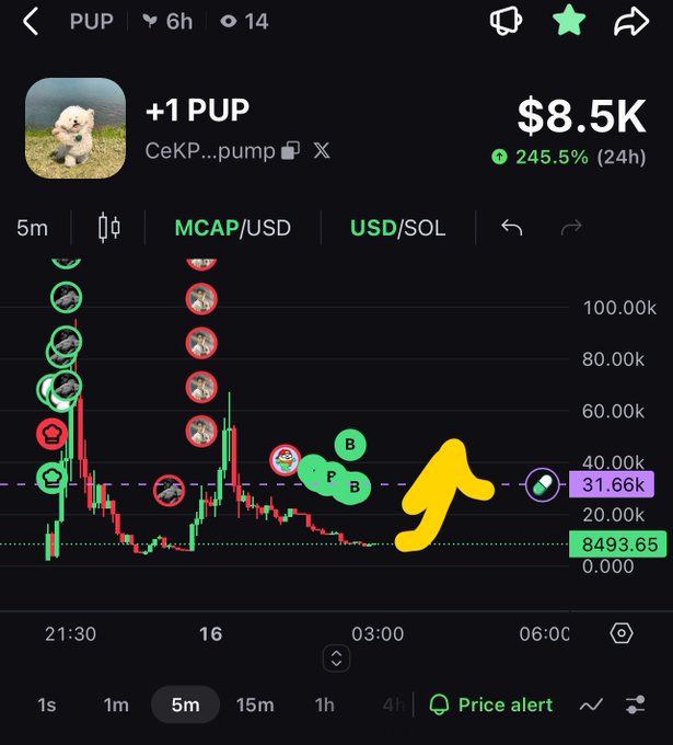 A Pump.fun token chart for '+1 PUP' (CeKP...pump) showing a market cap of $8.5K with a 245.5% 24h gain, decorated with handwritten green 'B' bubbles and a yellow upward arrow.