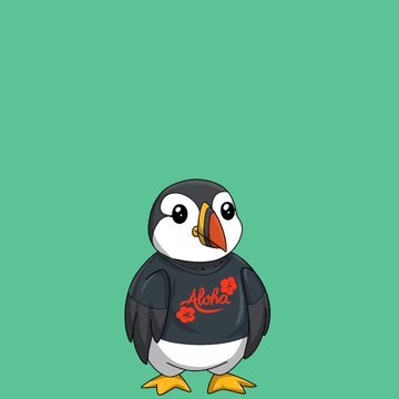 A cartoon puffin wearing a black hoodie with 'Aloha' written in red lettering stands against a green background.