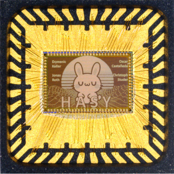 Close-up of a microchip labeled 'HASY' featuring a cute rabbit logo, with names including Domenic Keller, Jonas Roth, Oscar Castañeda, and Christoph Studer printed on it.