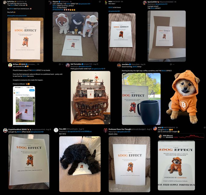 A collage of social media posts showcases the book "The $DOG Effect" featuring a Shiba Inu puppy in an orange Bitcoin hoodie, with tweets from figures like SpartaDOG, SpartanDOG (SpartanDOG2022), Jeff (cryptomundus), McPuppy, Kat Tamada (ScatterCap), Jane Sato, CryptoTurdKind, Flea_ABC, Professor Pass-For-Thought, and an ABCD NFT giveaway.