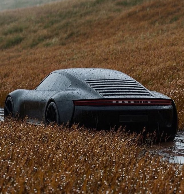 A dark grey Porsche 911 is parked in a field of tall, brown grass with water droplets covering its body, set against a moody, overcast sky.