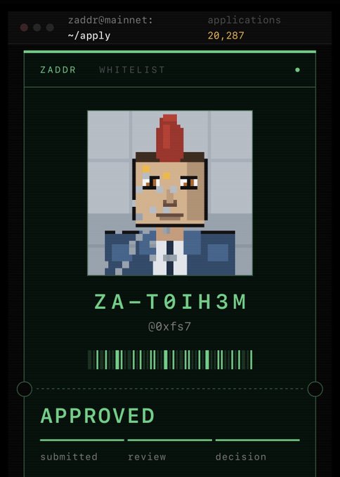 A pixel-art styled digital interface showing a 'ZADDR WHITELIST' application that has been 'APPROVED' for 'Z@CADR', 'ZA-TIH3M', and '@xfS7', with 20,287 applications submitted and stages labeled 'submitted', 'review', and 'decision'.