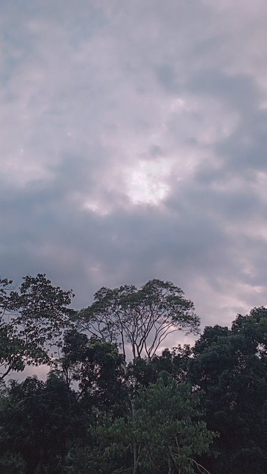 A moody photograph of a cloudy sky at dusk with a bright spot of light breaking through the clouds above a silhouette of treetops.