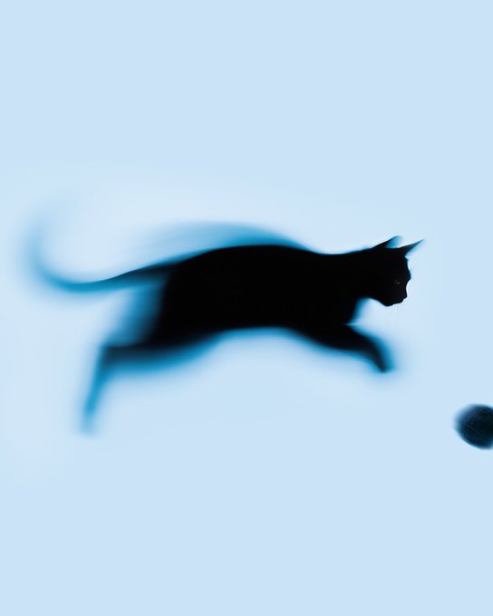 A blurred silhouette of a black cat leaping toward a small ball is shown against a light blue background, visually representing the "$BLUECAT" token as it launches on Robinhood, with the cat's dynamic pose symbolizing the token's active debut on the platform.