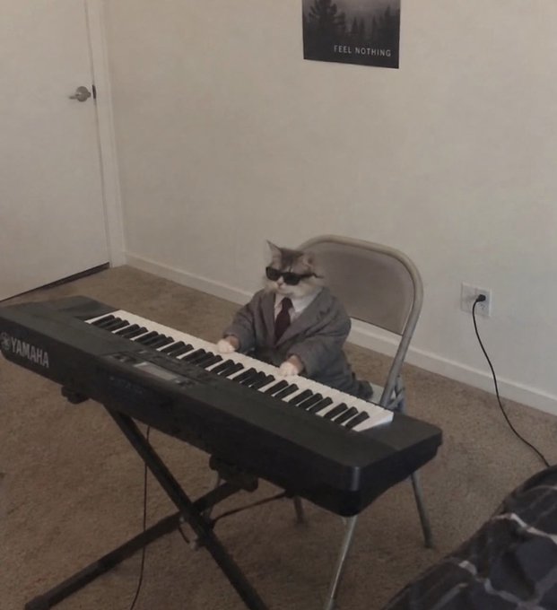 A cat wearing sunglasses, a gray suit, and a red tie sits upright at a Yamaha keyboard on a folding chair in a plain room with a 'FEEL NOTHING' poster on the wall.