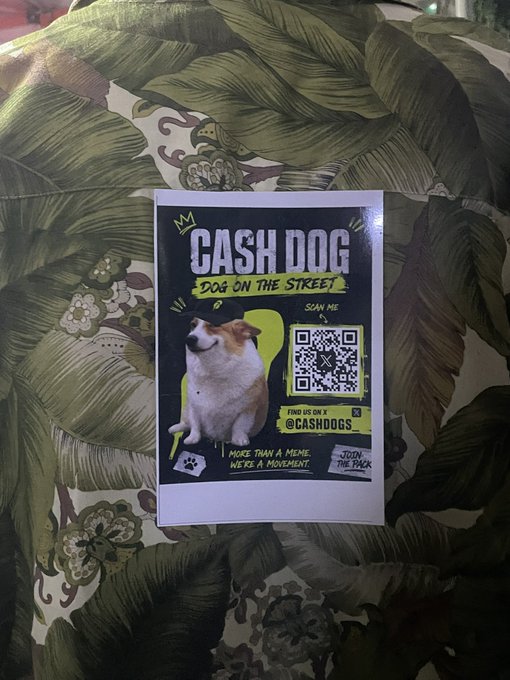 A promotional flyer for "$CASH DOG - Dog on the Street" featuring a cute dog and a QR code is displayed on a tropical leaf-patterned cushion, reflecting the creator's efforts to spread awareness and support for the Cash Dog meme coin project as a bullish holder.