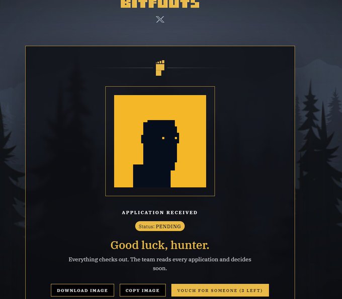 A dark-themed application confirmation screen displays a pixelated yellow profile silhouette with 'APPLICATION RECEIVED' status 'PENDING' and the message 'Good luck, hunter' along with options to download, copy, or vouch.