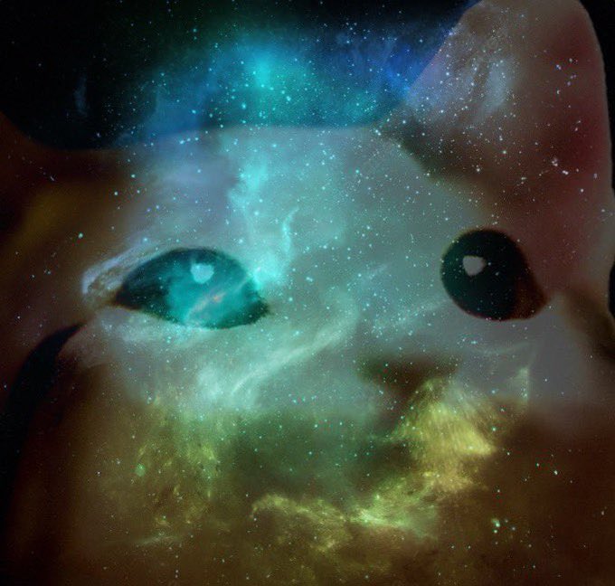 A surreal image blending a cat's face with a colorful cosmic nebula, creating a galaxy-like effect across its features.