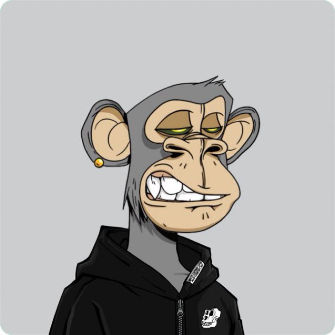 A cartoonish illustration of a smug-looking monkey character wearing a gold earring and a black hoodie with a small skull logo.