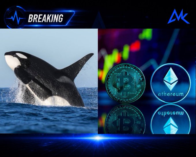 A breaking news graphic featuring a breaching orca whale on the left and physical Bitcoin and Ethereum coins displayed against a candlestick chart on the right, with the "BREAKING" banner and MK logo at the top, visually illustrating the story of crypto whales cashing in on BTC and ETH price surges for millions in profits.