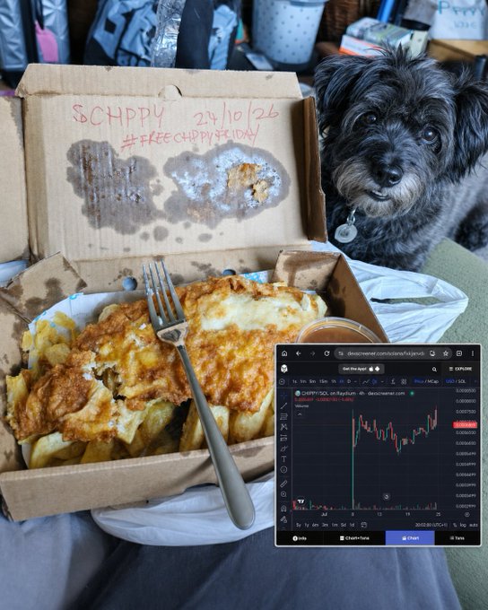 A Schnappy dog watches a meal of pancakes and eggs in a cardboard box, while an inset shows a $CHAPPY trading chart on dex screener with a date of 24/10/26.