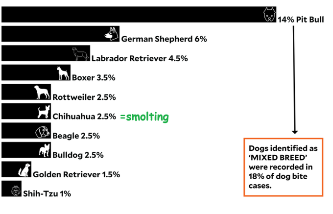 A bar chart displays dog bite statistics by breed, with Pit Bull at 14%, German Shepherd at 6%, Labrador Retriever at 4.5%, Boxer at 3.5%, Rottweiler, Chihuahua, Beagle, and Bulldog each at 2.5%, Golden Retriever at 1.5%, and Shih-Tzu at 1%, while an orange-bordered note indicates that "Dogs identified as 'MIXED BREED' were recorded in 18% of dog bite cases." The chart supports the post's point that, despite Pit Bulls ranking highest among identified breeds, the relatively low percentages—especially when compared to the larger mixed breed category—suggest they are not a disproportionate threat.