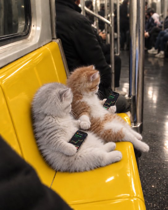 Two kittens, one gray and one orange, sit upright on a yellow subway seat, each holding and looking at a smartphone displaying a chart.