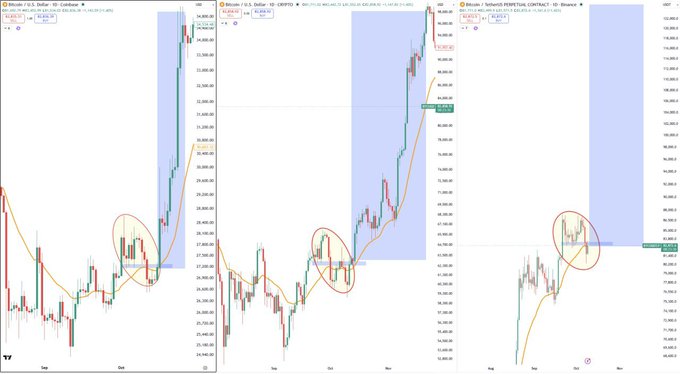 Three cryptocurrency price charts showing Bitcoin (BTC), Decubate (DCB), and SUB on TradingView with red circles highlighting breakout patterns around early September.