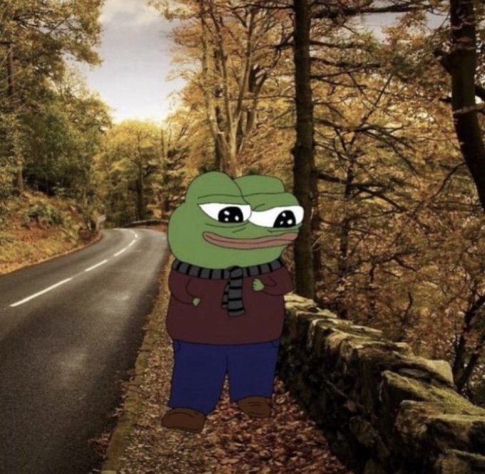 A Pepe the Frog meme wearing a maroon sweater, striped scarf, and blue pants stands on an autumn roadside next to a stone wall.
