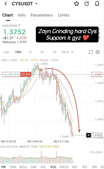 A financial trading chart for ticker CYUSDT shows a last price of 1.3752, down 4.62%, with a red arrow indicating a sharp decline and text reading 'Zayn Grinding hard Cys Support it gyz'.