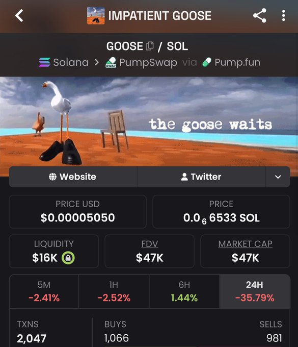 A cryptocurrency tracking app screenshot showing the "IMPATIENT GOOSE" (GOOSE/SOL) token on Solana via PumpSwap via Pump.fun, priced at $0.00005050 USD with a market cap of $47K and down 35.79% in 24H.
