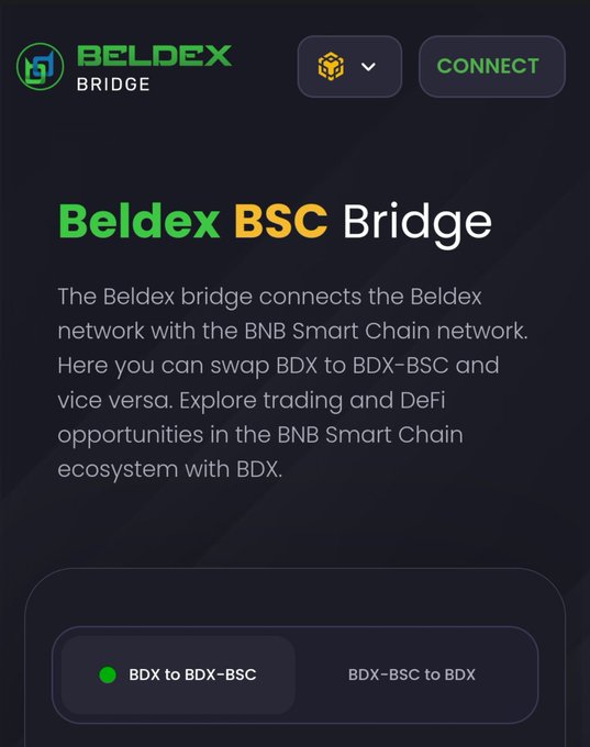 A dark-themed webpage for the 'Beldex BSC Bridge' explains it connects the Beldex network with the BNB Smart Chain, allowing swaps between BDX and BDX-BSC tokens.
