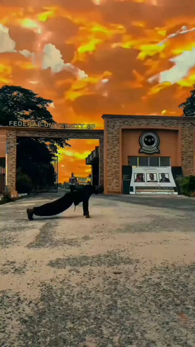 The image features a man doing pushups outside of a brick building with the word "University" written on it, which appears to be a college or university campus. The sky above them has an orange hue, suggesting that the photo was taken during sunset. The man is performing pushups in front of this backdrop, and there are two other people visible in the scene as well.