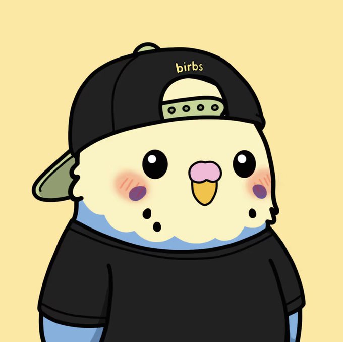 A cute cartoon chick wearing a backwards black cap with the text "birbs" embroidered on it, shown against a pale yellow background. The character appears to be the mascot or avatar for the X/Twitter account @birbsrh, which is referenced in the post about being introduced to RobinHood.