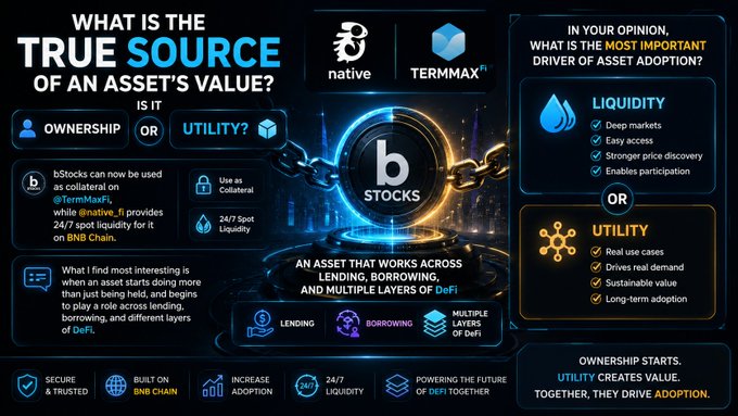 An infographic about bSTOCKS asset value, featuring the native and TermMaxFi logos, discussing ownership vs utility, liquidity, and DeFi applications on BNB Chain.