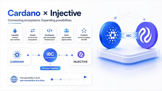 An infographic titled 'Cardano x Injective' illustrating ecosystem connectivity with icons for liquidity, assets, developers, users, and cross-chain connections, showing logos for CARDANO, IBC, and INJECTIVE.