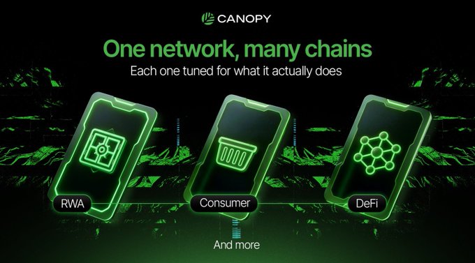 Canopy promotional graphic with the tagline 'One network, many chains' and 'Each one tuned for what it actually does,' featuring three smartphone-style cards labeled RWA, Consumer, and DeFi, with 'And more' below.