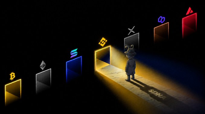 A digital illustration shows a person in a bear mascot costume standing before multiple glowing doorways, each labeled with a different cryptocurrency symbol (Bitcoin, Ethereum, Solana, Binance, XRP, Polygon, Avalanche) with 'VCs' written on the floor.